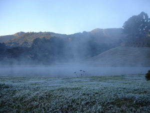 inverno-em-monte-verde-geada